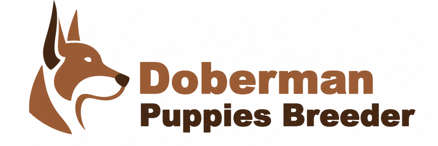 Doberman Puppies Breeder